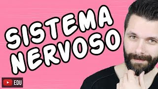 SISTEMA NERVOSO  FISIOLOGIA  Aula  Biologia com Samuel Cunha [upl. by Cornia86]