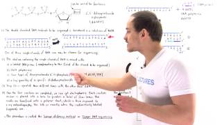 Sanger Sequencing of DNA [upl. by Lon609]