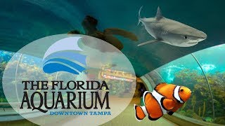 The Florida Aquarium Downtown Tampa [upl. by Gertrud]