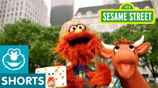 Sesame Street Old MacMurray Had A Farm [upl. by Aiuqat223]