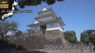 Odawara  Odawara Castle  4K HDR  小田原駅〜小田原城 [upl. by Annelise]