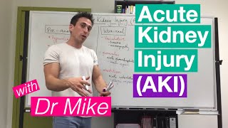 Acute Kidney Injury AKI [upl. by Nallek783]