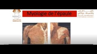 ANATOMIE FMPM MYOLOGIE DE L’ÉPAULE [upl. by Aylmar]