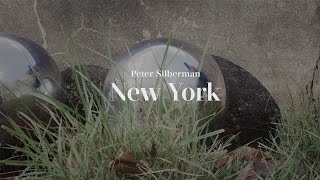 Peter Silberman  Impermanence at The Glass House  Part Two quotNew Yorkquot [upl. by Nerhtak230]