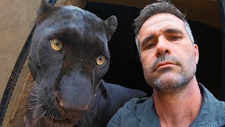 How To Move A Leopard  The Lion Whisperer [upl. by Jenkins905]