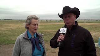 Talking Cattle Handling with Temple Grandin [upl. by Tracee]