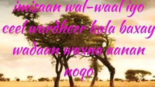 HEESTA IMISAAN WALWAAL IYO CEEL WARDHEER ORIGINAL LYRICS KHADRA DAAHIR [upl. by Pierro]