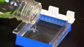 Casting an Agarose Gel [upl. by Weld]