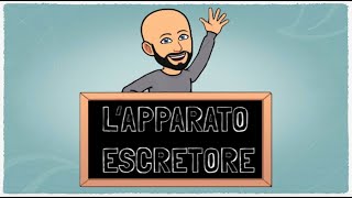 LApparato Escretore [upl. by Petey]