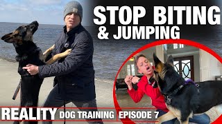 I HAVE to get this dog to STOP BITING amp JUMPING REALITY Dog Training [upl. by Iegres]