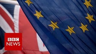 EU referendum What is it BBC News [upl. by Aznerol719]