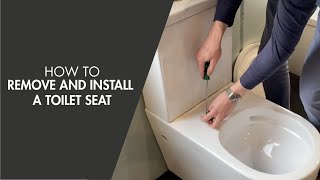 How to Remove and Install a Toilet Seat [upl. by Ehtyde25]