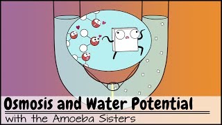 Osmosis and Water Potential Updated [upl. by Maegan]