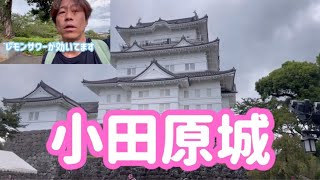 小田原城 Odawara Castle 小田原市 Kanagawa Japan 神奈川県 Japanese Castle 観光スポット [upl. by Octavia]