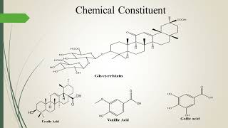 Abrus Percatorius Chemical Constituents amp Pharmacological activities [upl. by Yeargain]