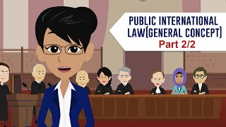 Public International Law General Concept Part 22 [upl. by Ynaittirb857]