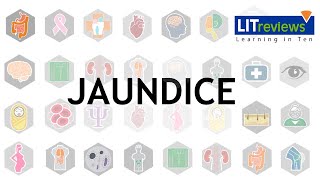 A Clinical Approach to Jaundice [upl. by Haldas296]