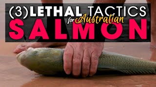 3  LETHAL TACTICS Beach Fishing For Aussie Salmon [upl. by Raman934]