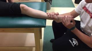 Ankle Sprain EvertorPeroneal Strengthening [upl. by Notecnirp]