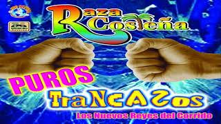 RAZA COSTEÑA CORRIDOS MIX [upl. by Ocnarfnaig]