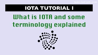 IOTA tutorial 1 What is IOTA and some terminology explained [upl. by Neirod495]