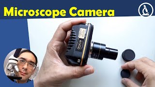 🔬 USB Microscope Camera review  Amateur Microscopy [upl. by Soph]