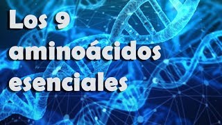 Los 9 aminoácidos esenciales [upl. by Herv989]