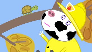 Peppa Pig Full Episodes Naughty Tortoise 104 [upl. by Wolfort547]