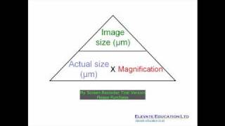 How to calculate magnification [upl. by Airat512]