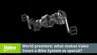 Build a Electric Cargo Trike with Honda Chaly Scrap [upl. by Enitnatsnoc]