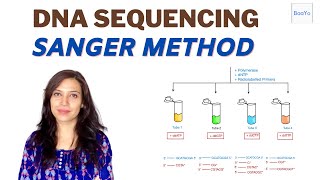 Dideoxy DNA Sequencing  Sanger method [upl. by Binah]