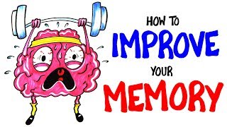 How To Improve Your Memory RIGHT NOW [upl. by Adyela]