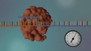 DNA Sequencing  3D [upl. by Gib470]