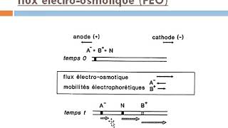 Electrophorèse capillaire [upl. by Iretak508]