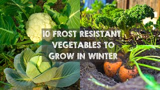 10 Frost Resistant Vegetables to Grow in Winter [upl. by Nuhs]