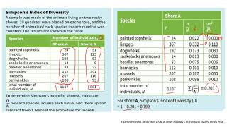 Chapter 182 How to Calculate Simpsons Index of Biodiversity [upl. by Nyleek]