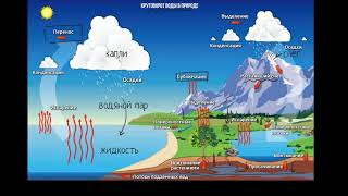 Круговорот воды в природе видео 1 Экология  Биогеохимический цикл [upl. by Aramoj]