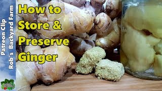 7 Ways to Store GINGER or Turmeric [upl. by Hutchinson]