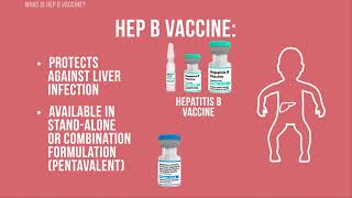 Hepatitis B Vaccine [upl. by Neetsuj]