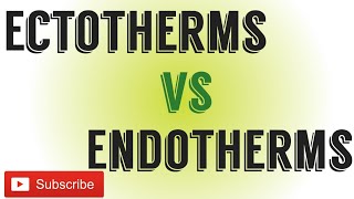 Ectotherms Vs EndothermsDifference between Ectotherms and endotherms [upl. by Oswal309]