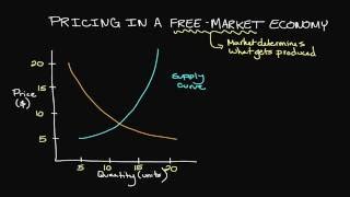 Pricing in a FreeMarket Economy [upl. by Ahsaret403]