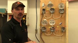 How To Wire A Single Pole Light Switch [upl. by Faydra966]