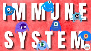 Immune System Innate and Adaptive Immunity Explained [upl. by Dnomrej]