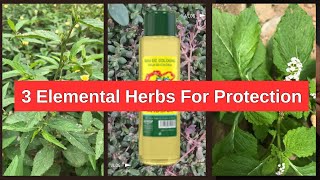 How To Use The 3 Elemental Herbs For Protection [upl. by Aay]