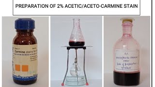 2 AceticAcetoCarmine stain preparation [upl. by Enilrek336]