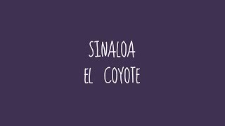 Sinaloa  El Coyote Audio [upl. by Volpe427]