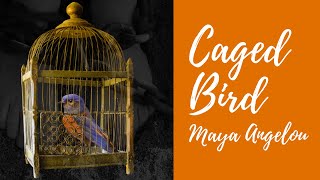 ANALYSIS Caged Bird🦜  By Maya Angelou Poem [upl. by Erej883]