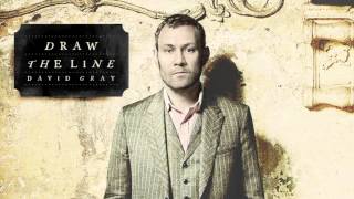 David Gray  Fugitive Official Audio [upl. by Kopple]