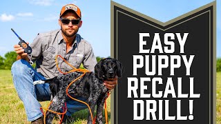 Easy Recall Drill For Dogs or Puppies [upl. by Yolane]