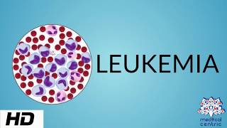 LEUKEMIA Causes Signs and Symptoms Diagnosis and Treatment [upl. by Anselma]